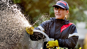 Sodexo employee watering plants