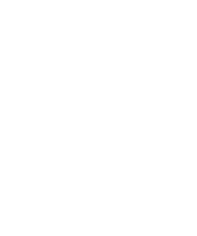 Vital Spaces logo